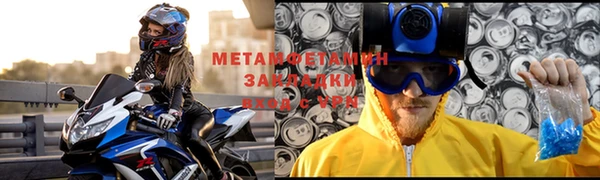 прущие грибы Богородицк