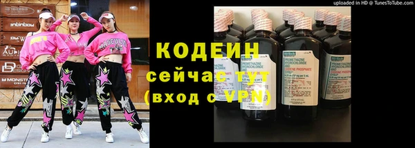 стаф Богородск