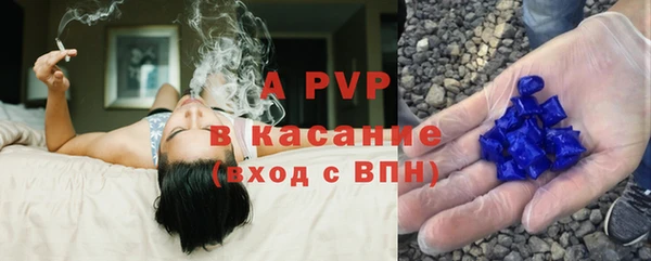 прущие грибы Богородицк