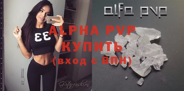 прущие грибы Богородицк