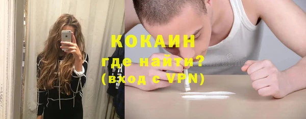 прущие грибы Богородицк