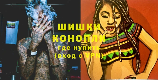 стаф Богородск